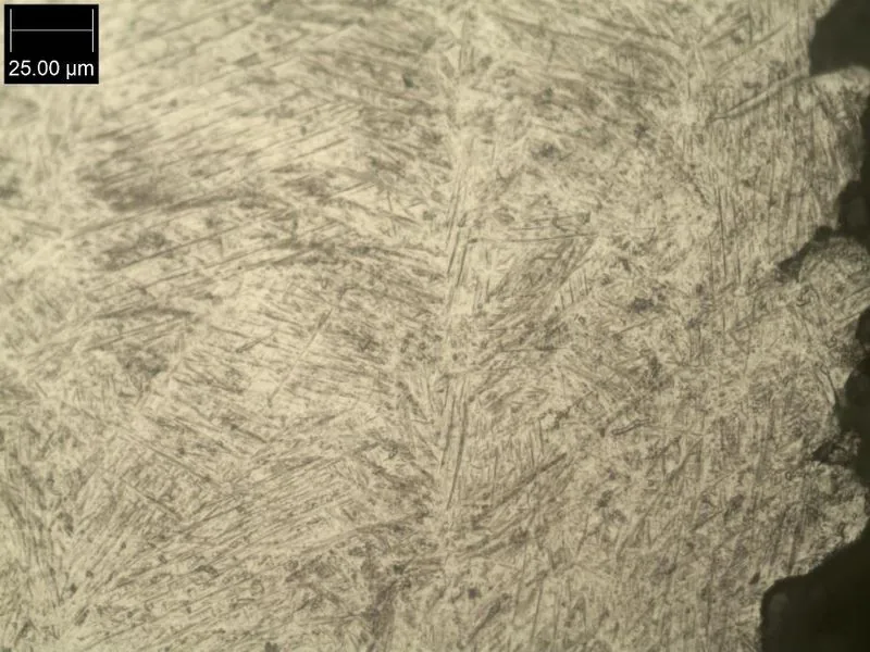 Micrograph of metal grain structure